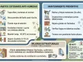 Evita el moho en la pared con estos consejos: ventila, seca superficies, tiende ropa fuera y mantén la temperatura. ¡Pequeños gestos previenen grandes problemas!