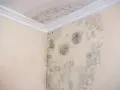 Manchas de moho y humedad en la esquina de una pared y el techo.
