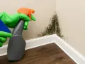 Manos con guantes verdes rociando y limpiando moho negro en la esquina de una pared, buscando quitar moho pared definitivamente.