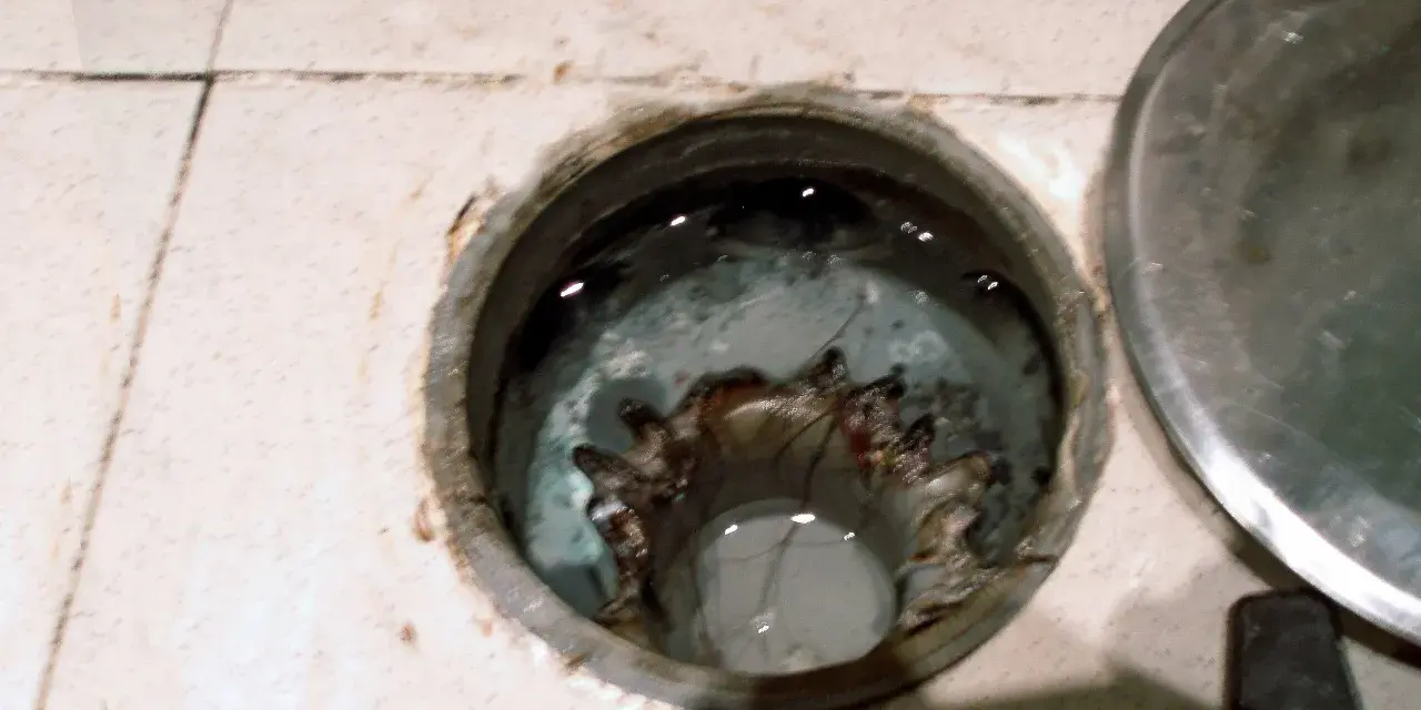 Interior de un bote sifónico con agua estancada y residuos.