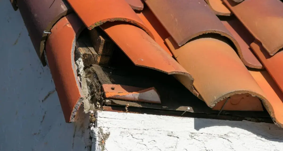 Tejas rotas y madera expuesta en un tejado antiguo, indicando la necesidad de reparar tejado antiguo.