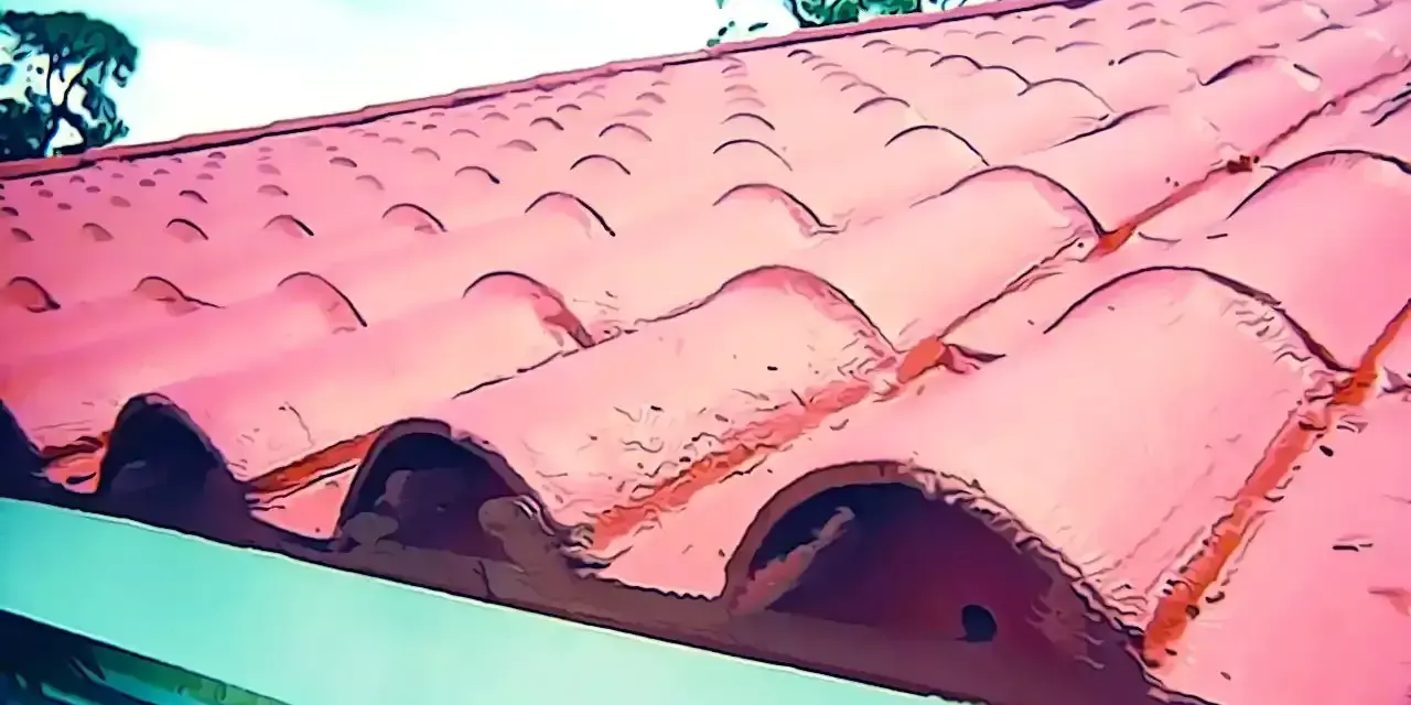 Tejas rojas de barro en un tejado, ideal para reparar tejado sin quitar tejas. Cielo azul y árboles al fondo.