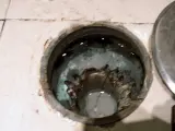 Interior de un bote sifónico con agua estancada y residuos.