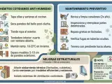 Evita el moho en la pared con estos consejos: ventila, seca superficies, tiende ropa fuera y mantén la temperatura. ¡Pequeños gestos previenen grandes problemas!
