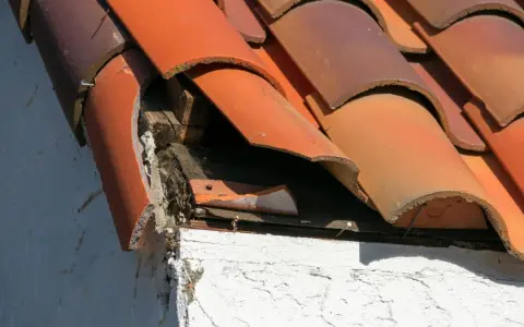 Tejas rotas y madera expuesta en un tejado antiguo, indicando la necesidad de reparar tejado antiguo.