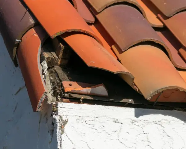 Tejas rotas y madera expuesta en un tejado antiguo, indicando la necesidad de reparar tejado antiguo.