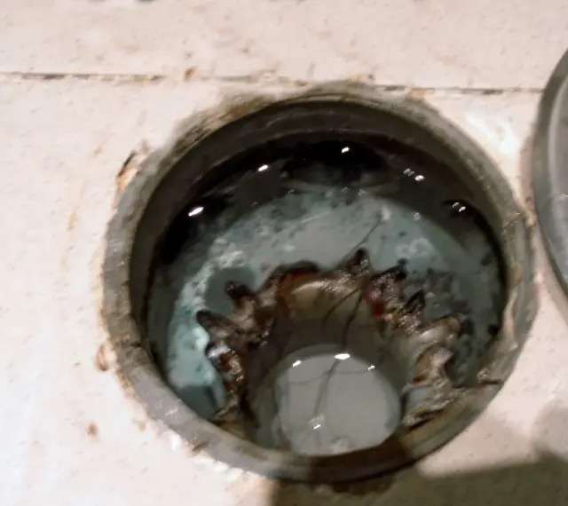 Interior de un bote sifónico con agua estancada y residuos.