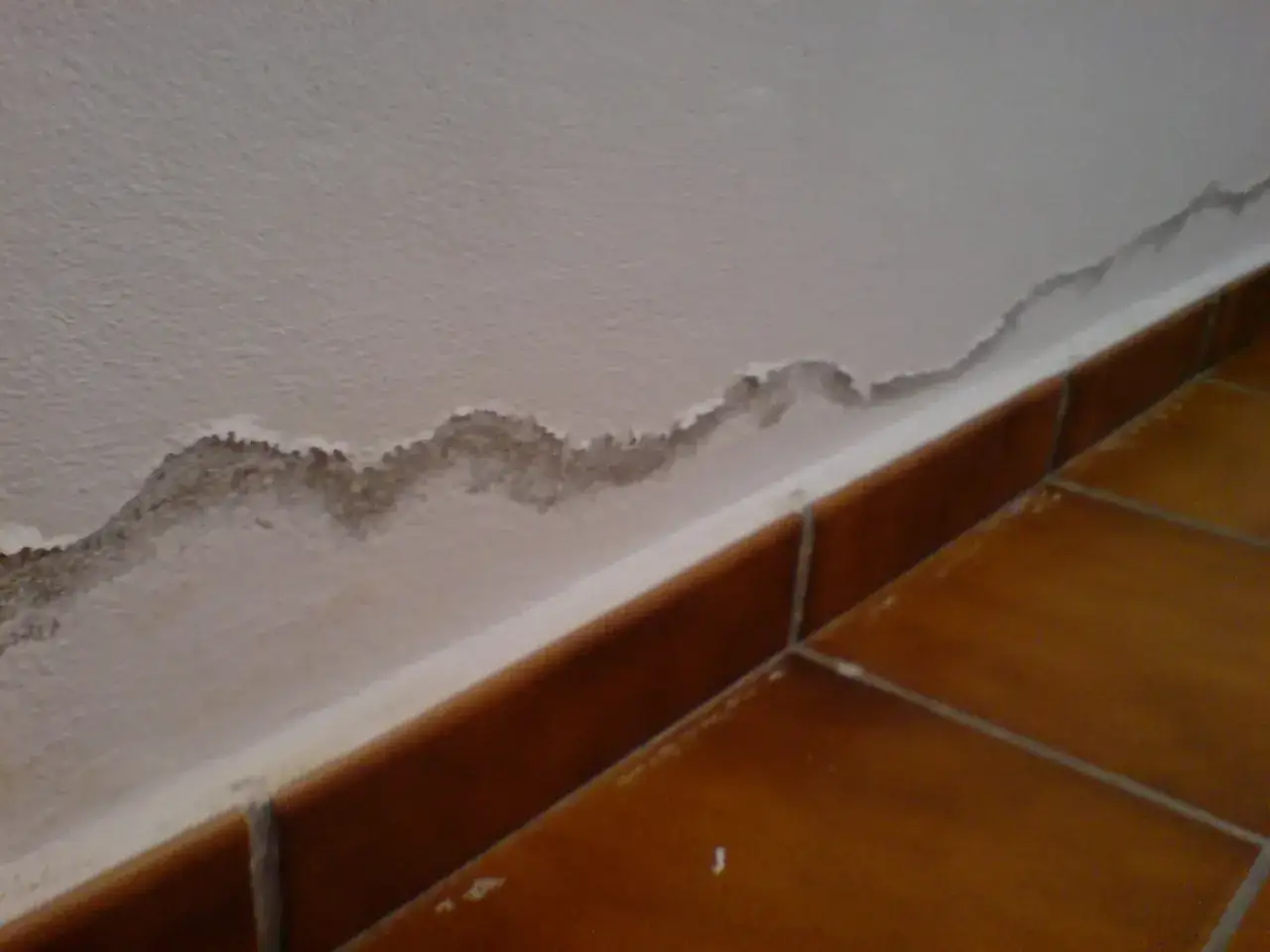 Mancha oscura y descascarillada en la pared, indicando humedades por capilaridad. El suelo de baldosas marrones est&aacute; limpio.