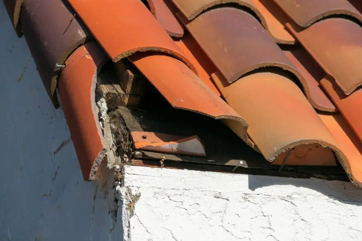 Tejas rotas y madera expuesta en un tejado antiguo, indicando la necesidad de reparar tejado antiguo.