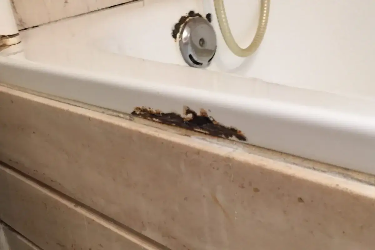 Detalle de una ba&ntilde;era blanca con &oacute;xido y desconchones en el borde, indicando la necesidad de reparar ba&ntilde;era picada.