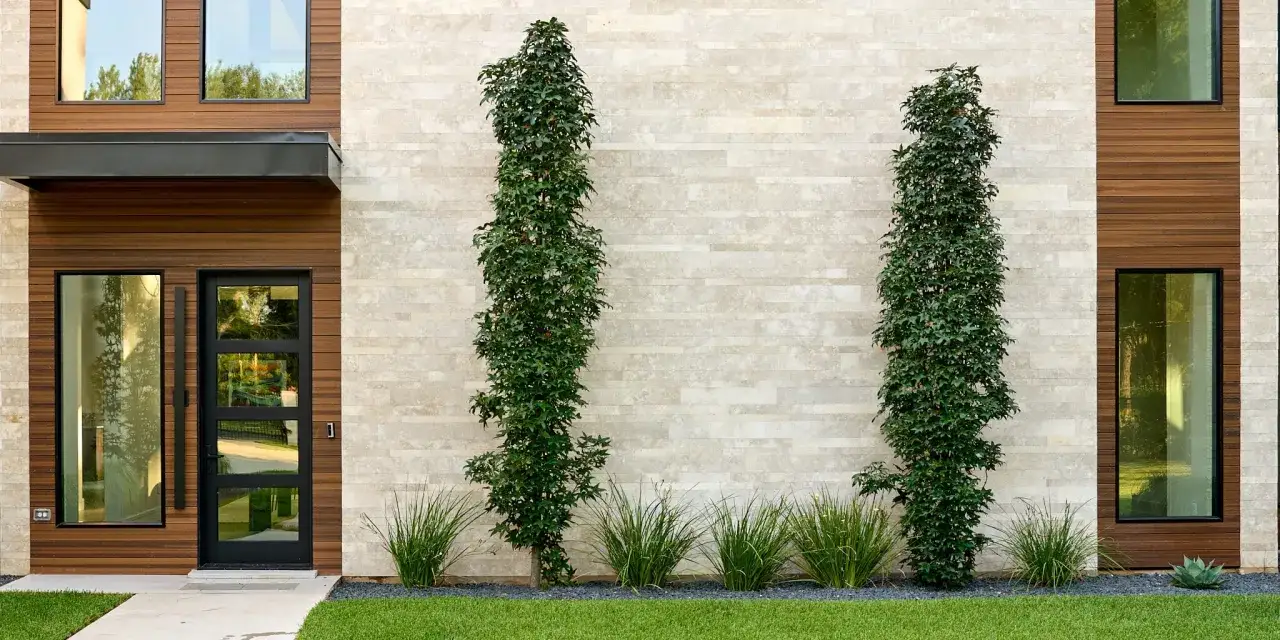 Fachada moderna con piedra clara y madera. Dos &aacute;rboles esbeltos flanquean la entrada, realzando la belleza natural que un buen barniz para piedra protege.