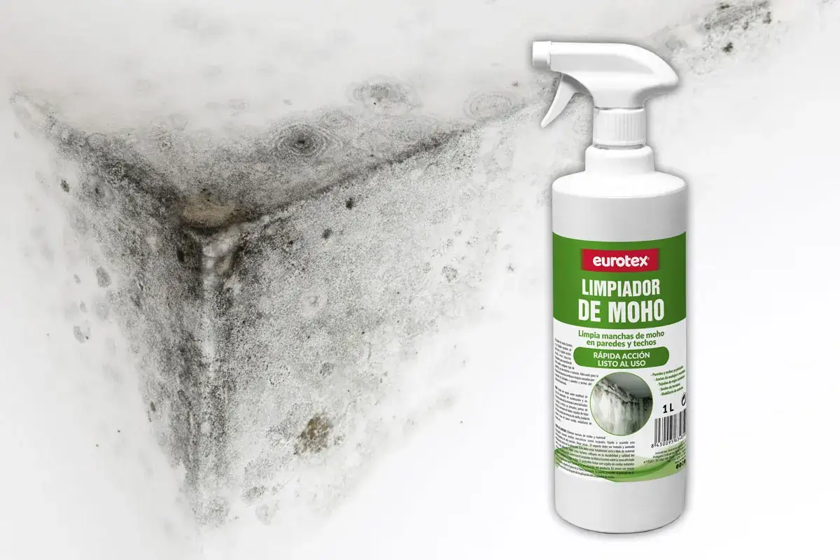 Un rincón de pared con moho negro y gris, junto a una botella de limpiador de moho Eurotex.