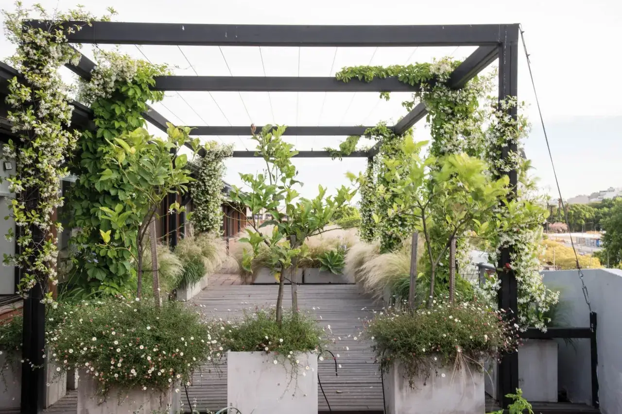 Ideas para tapar balc&oacute;n con p&eacute;rgola y plantas trepadoras en flor. Un oasis verde y fresco.